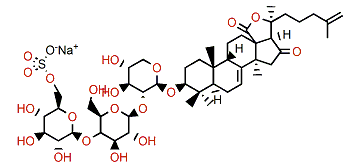 Psolusoside H